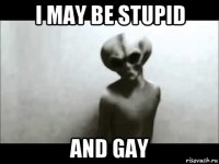 i may be stupid and gay