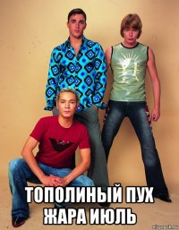  тополиный пух жара июль