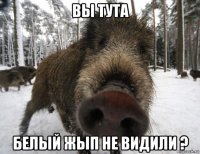 вы тута белый жып не видили ?