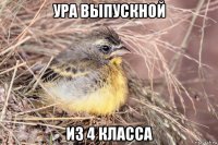 ура выпускной из 4 класса