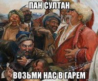 пан султан возьми нас в гарем