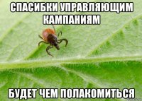 спасибки управляющим кампаниям будет чем полакомиться