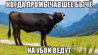 когда промычавшее бычё на убой ведут