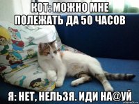 кот: можно мне полежать да 50 часов я: нет, нельзя. иди на@уй