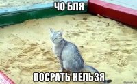 чо бля посрать нельзя