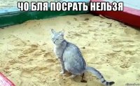 чо бля посрать нельзя 