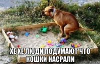  хе хе люди подумают что кошки насрали