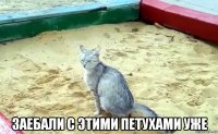  заебали с этими петухами уже