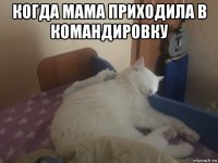 когда мама приходила в командировку 