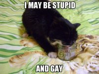 i may be stupid and gay
