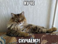 ну че скучаем?!