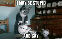 i may be stupid and gay