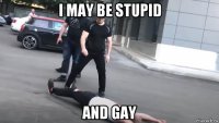 i may be stupid and gay