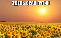 здесь срал путин 