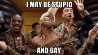 i may be stupid and gay