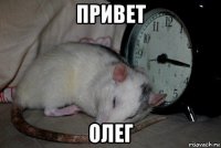 привет олег