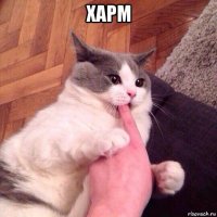 харм 