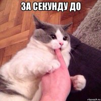 за секунду до 