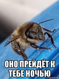 оно прейдёт к тебе ночью