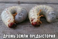  дрожь земли: предыстория