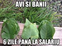 avi si banii 6 zile pana la salariu