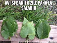 avi si banii 6 zile pana la salariu 