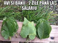 avi si banii - 2 zile pana la salariu 