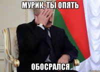 мурик, ты опять обосрался