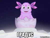  градус