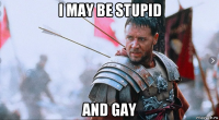 i may be stupid and gay