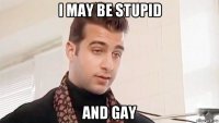 i may be stupid and gay