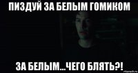 пиздуй за белым гомиком за белым...чего блять?!