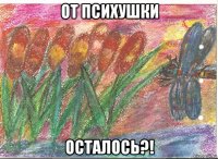 от психушки осталось?!