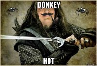 donkey hot