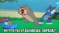  ну что ты отдыхаешь, зараза?