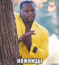  ножницы