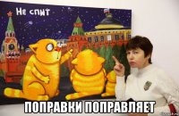  поправки поправляет