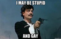 i may be stupid and gay