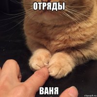 отряды ваня