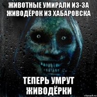 животные умирали из-за живодёрок из хабаровска теперь умрут живодёрки