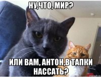 ну,что, мир? или вам, антон,в тапки нассать?