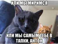или мы миримся или мы самым тебе в тапки, антон