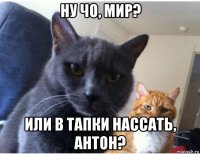 ну чо, мир? или в тапки нассать, антон?