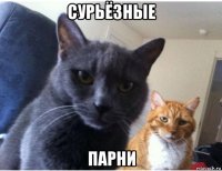 сурьёзные парни