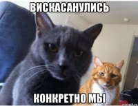 вискасанулись конкретно мы