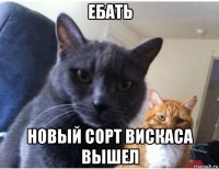 ебать новый сорт вискаса вышел