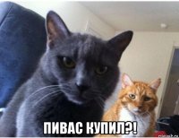 пивас купил?!