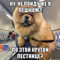 ну, не пойду же я пешком? по этой крутой лестнице?
