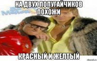 на двух попугайчиков похожи красный и желтый