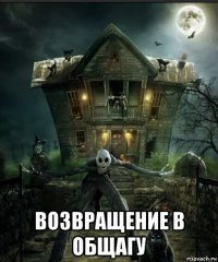  возвращение в общагу